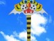 hd_002_orias_tigris_design_sarkany.jpg