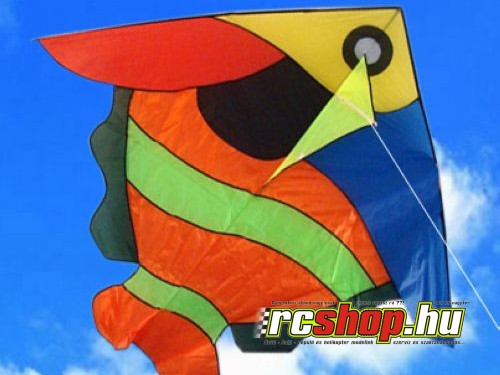 hd_003_szines_hal_design_sarkany.jpg hd_003_szines_hal_design_sarkany.jpg
