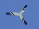 hm_510_z_07_farokrotorlapat.jpg