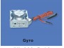 hm_039_z_13_gyro.jpg
